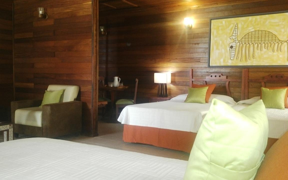Room Room