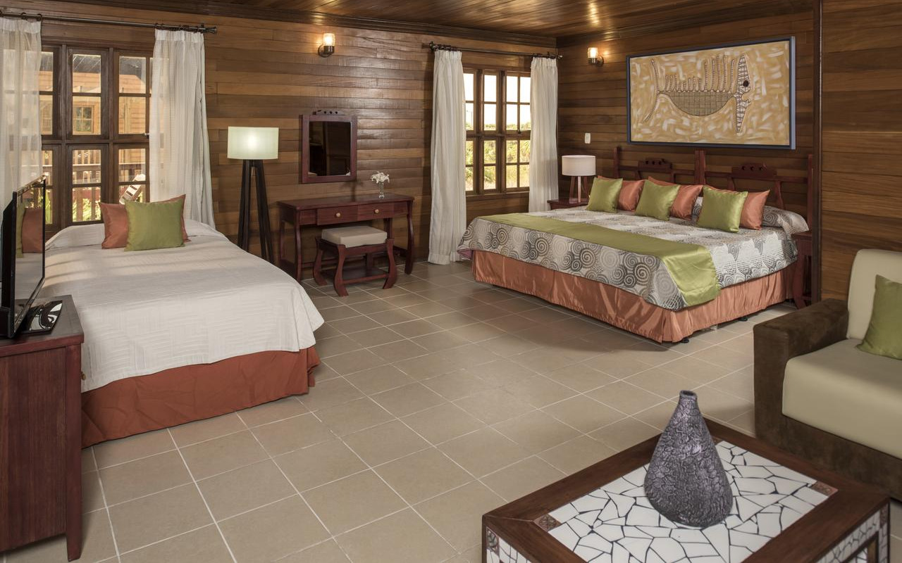 Room Room