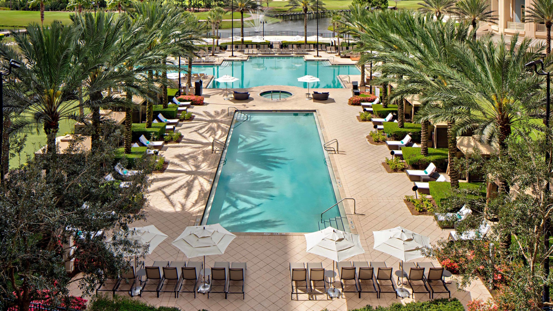 Pool at Waldorf Astoria Orlando Pool at Waldorf Astoria Orlando
