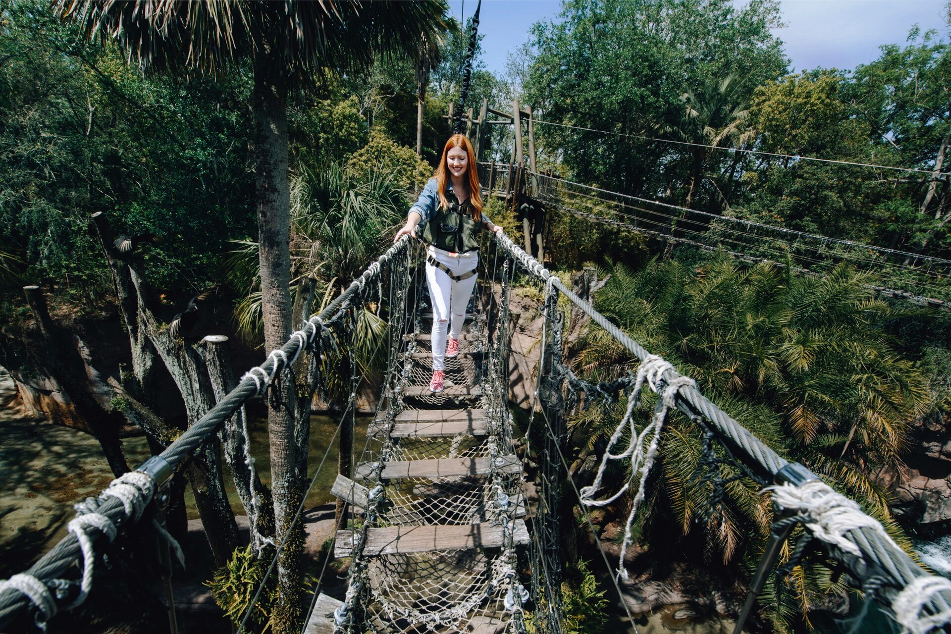 Une visiteuse traverse le pont de corde du Wild Africa Trek, suspendu au-dessus de la canopée, à Disney’s Animal Kingdom. Une visiteuse traverse le pont de corde du Wild Africa Trek, suspendu au-dessus de la canopée, à Disney’s Animal Kingdom.